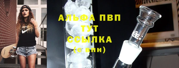 прущие грибы Алексин