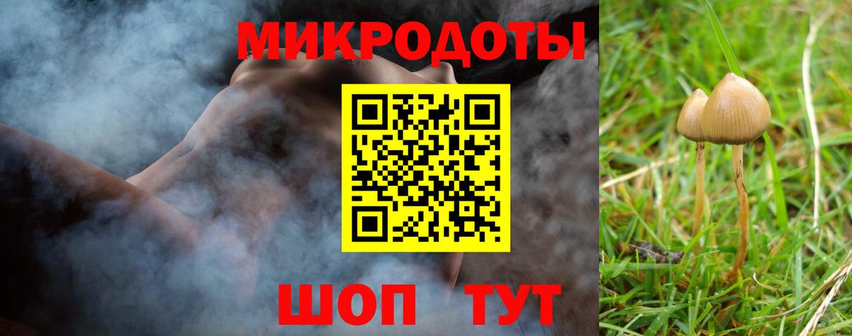 Псилоцибиновые грибы Cubensis  где купить наркотик  Галлюциногенные грибы мухоморы  Рубцовск  Вход с VPN 