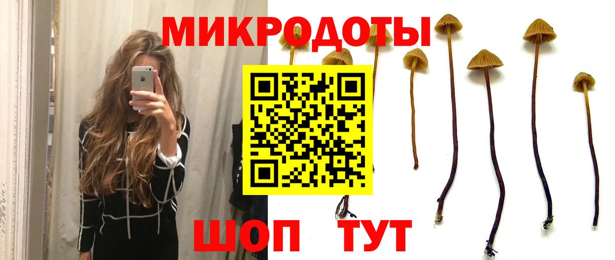 Галлюциногенные грибы GOLDEN TEACHER Рубцовск